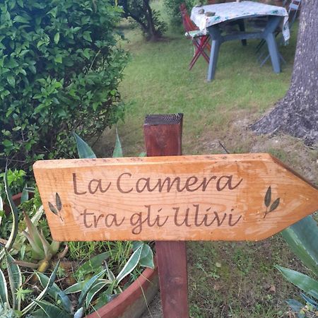La Camera Tra Gli Ulivi Dream Finale Finale Ligure Extérieur photo