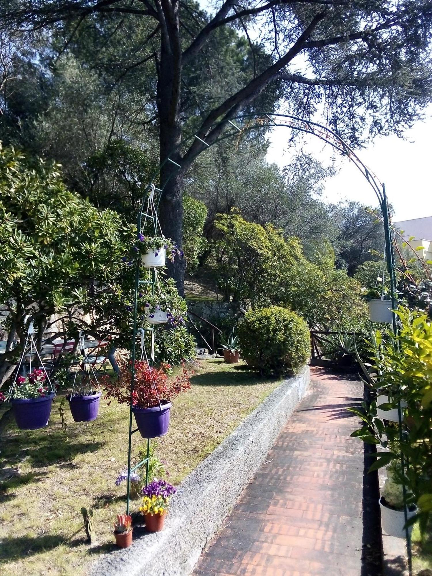 La Camera Tra Gli Ulivi Dream Finale Finale Ligure Extérieur photo